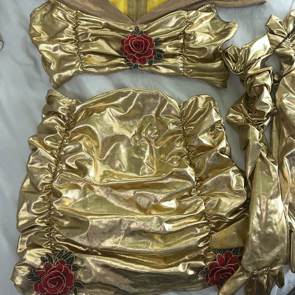 Fashion nova enchanted rose costume - Picture 5 of 11
